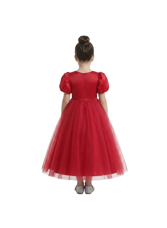 D'Daniela Embroidered Tulle Dress